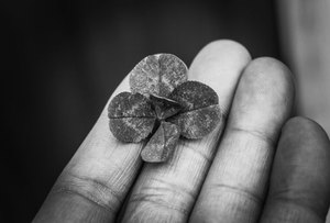 game nguyên bản F8bet